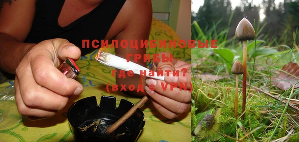 дурь Абдулино