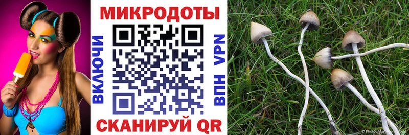 Галлюциногенные грибы мицелий  Весьегонск 